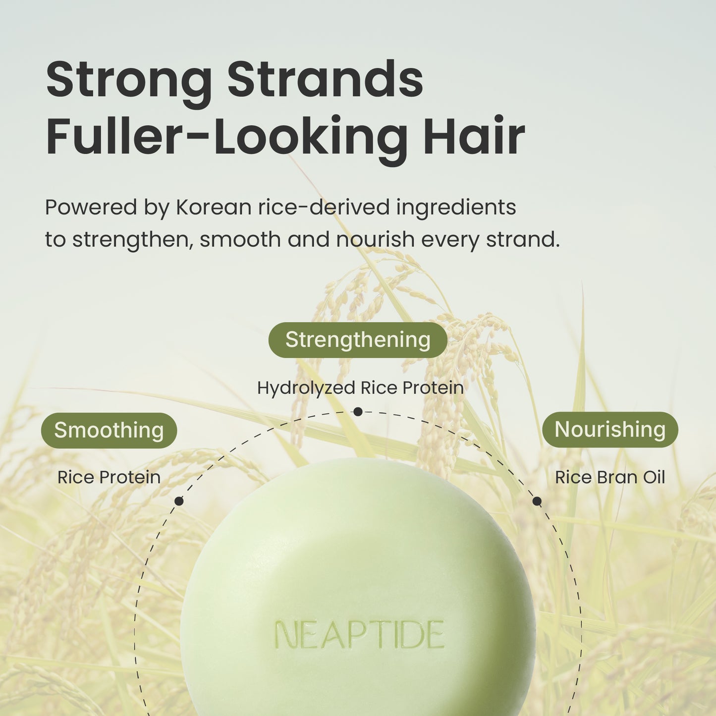 Green Tea Shampoo Bar